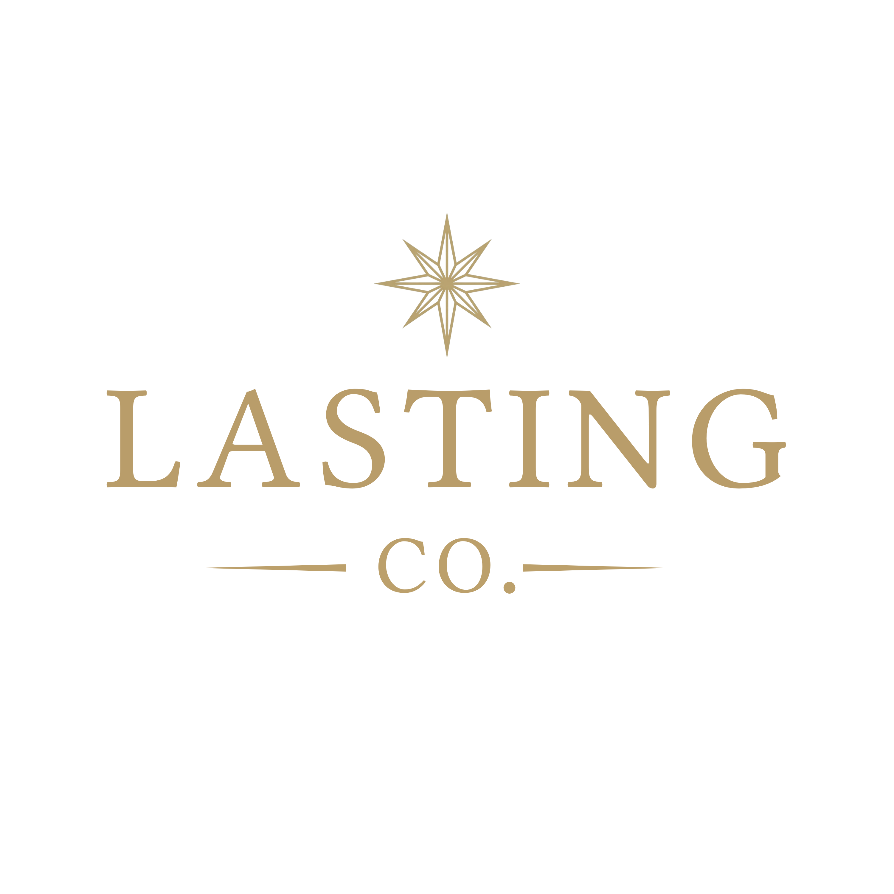 Lasting Co.